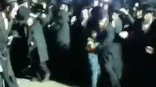 Крыса навела шороху!