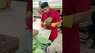 Cómo despuntar mejor los nopales #lacomer #fresco #shorts #youtubeshorts #loscabos #cabosanlucas