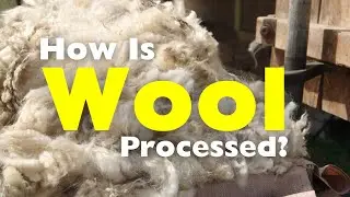 How is Wool Processed?