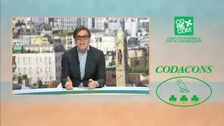 Codacons con Assofido: Modalità di accesso dei cittadini per la tutela degli animali