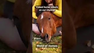 cute, funny or information video's about horses! check our channel🙏 