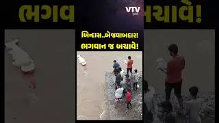 VIDEO: ગાંધીનગરમાં ખતરો કે ખેલાડી બન્યા લોકો! નદી કિનારે મૂર્તિઓ પધરાવવા ઉમટ્યાં