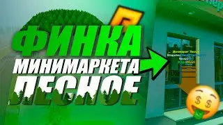 ФИНКА 24/7 В ЛЕСНОМ | БИЗНЕС ЗА 3.000.000 | РАДМИР КРМП