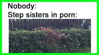 Diddly Dank Memes #13