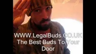 Gentleman - Leave Us Alone - Journey To Jah Album
