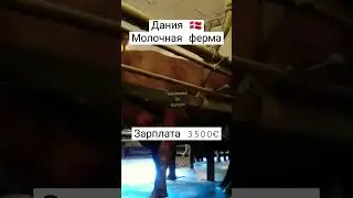 #вакансии