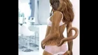 TOP 50 INTERSTING VIDEOS Of 2016