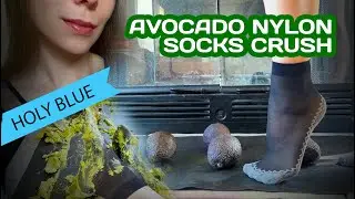 Food  crush,  AVOCADO NYLON SOCKS CRUSH | ASMR & CRUSHING