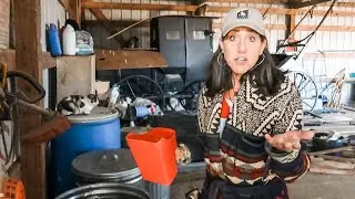 How we feed our FARM ANIMALS | OFF GRID - LOG CABIN
