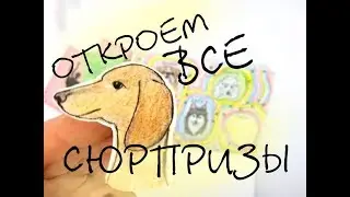 Бумажные сюрпризы/ ОТКРОЕМ ВСЕ