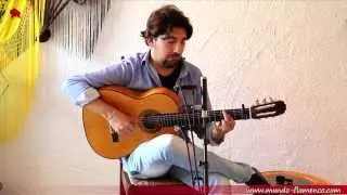 Antonio Rey, Taranta 2