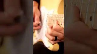#shred