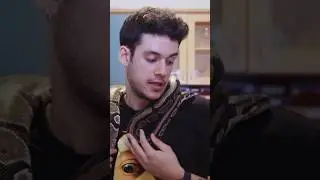 SU İÇENE YILAN DOKUNUR MU?!