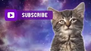 Легкая наркомания Кошка Ваше Норм