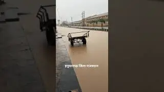 Rain In Hanumangarh Rajasthan| #rain #rainfall #rainsounds