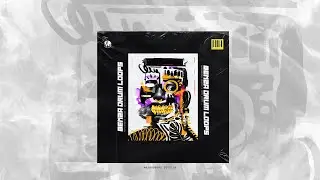 Amapiano Drum Loop Pack 