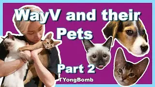 WayV and their pets being a mess | Part 2