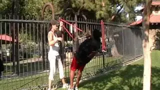 Team Jab Bootcamp oso de Orro park