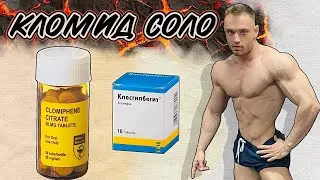 Курс кломида ( кломифена ) для натурального атлета. Кломид и тестостерон