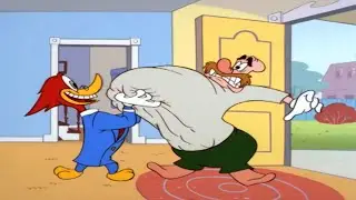 The New Woody Woodpecker Show But it's Out of Context