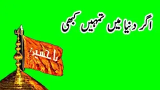 muharram status | green screen status | imam hussain quotes |