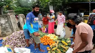 Sri Lankan Weekly Village Market | Business In Sri Lanka