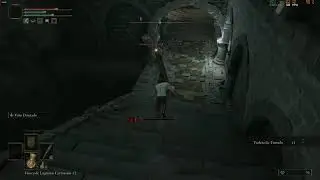 Elden Ring - Underground Level