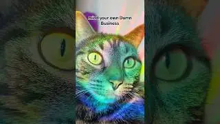 Mind your own business Harris Walz campaign #harriswalz2024 #mindyourbusiness