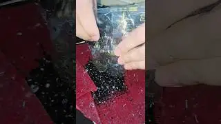 What's  this ? what doing by these #shorts #ytshorts #viral