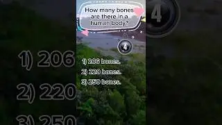 Quiz Game #quiz #quizgame #quizshow