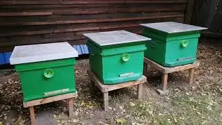 Осень. 29.09.21г. Как там пчёлы...