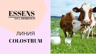 Что такое Colostrum? Обзор продуктов Essens