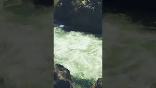 Всё во благо 