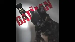 Bro cooked☠️ The City |Batman × Catman |#shorts #trollface