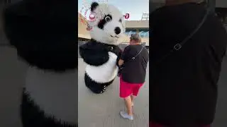 Стало хорошей традицией встречать гостей города на вокзале #panda #umka #Амиго #umkarostov #амиго