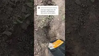 Золота бляшка: Пошук з металошукачем TRIPLE  у чорноземі. 