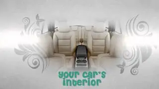 Appoos Car & Interior Cleaning Advt.