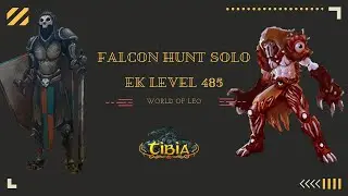 FALCON BASTION | SOLO KNIGHT 485 | HUNTING PLACES PROFIT + EXP