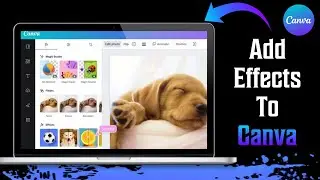 How To Add Effects To Canva