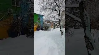 После метели ❄️🎇❄️🎇❄️
