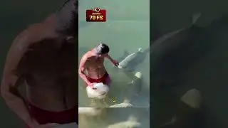 ИЗ ДОБЫЧИ В ДРУГА😱 