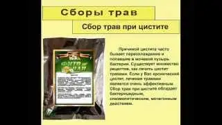 Сбор трав при цистите