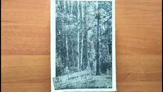 Оптический набор СОМЗ 