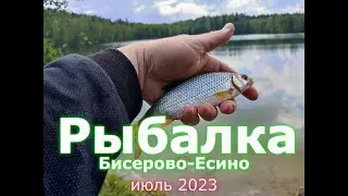 Выезды в Бисерово (Кудиновский карьер) 23.09.2023 и Электросталь (Есинские пруды) 01.07.2023