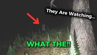 Fortnite The Woods Is CRAZY!!