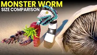 Monster Worm & Sandworm Size Comparison | GOD WORM VS DUNE