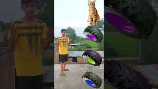 Tractor Wheel to White cat, dog, monkey & kangaru - Funny vfx magic 😀 #shorts