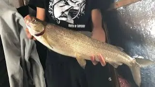Ice Fishing Lake Simcoe Whitefish at Bear Point Fish Hut Rentals