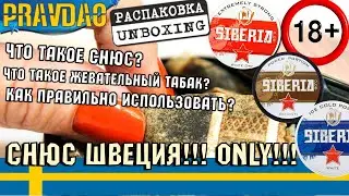 PRAVDAO #1  - Жевательный табак / Снюс