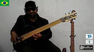 Shakin the Ground - Ole Borud (Bass Cover Moisés Bass)